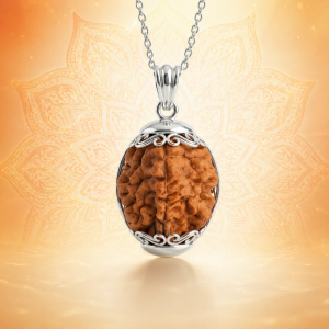 2 Mukhi Rudraksha (South Indian)