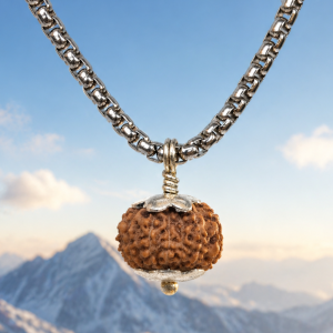 13-mukhi-rudraksha-indonesian