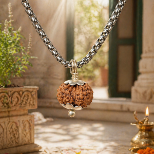 14-mukhi-rudraksha-indonesian