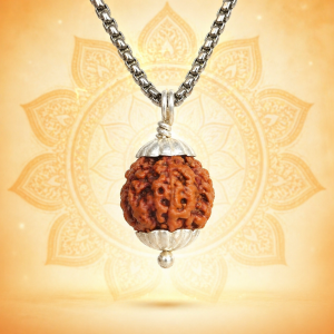 3 Mukhi Rudraksha (Nepali)