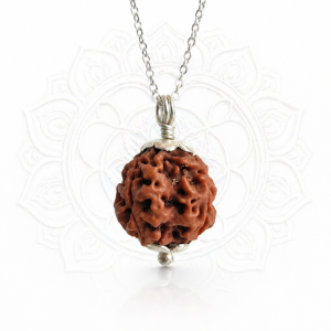 4 Mukhi Rudraksha (Nepali)