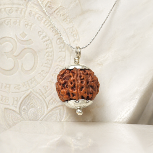 6 Mukhi Rudraksha (Nepali)