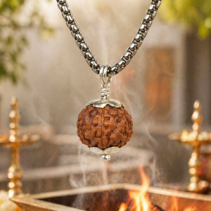 7 Mukhi Rudraksha (Indonesian)