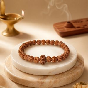 guard-10-mukhi-rudraksha-bracelet-indonesian