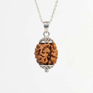 2-mukhi-rudraksha-himalayan