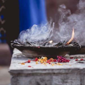 Havan for Planetary Peace